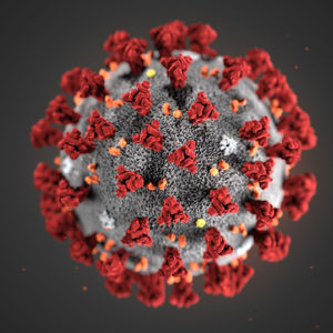 coronavirus - foto del virus in 3d